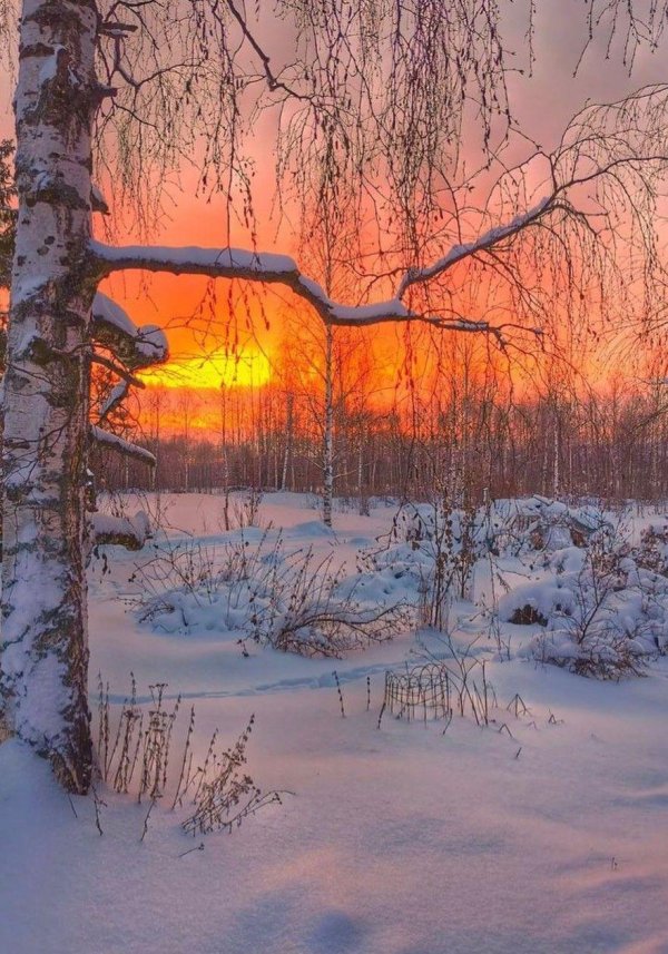 Утро рассвет зима