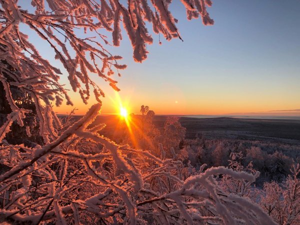 Утро рассвет зима