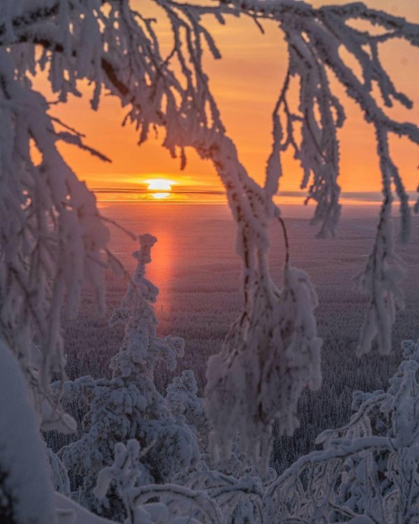 Утро рассвет зима