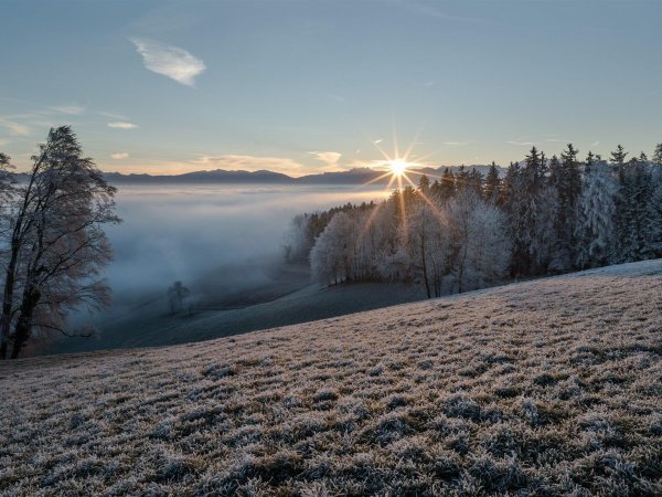 Утро рассвет зима