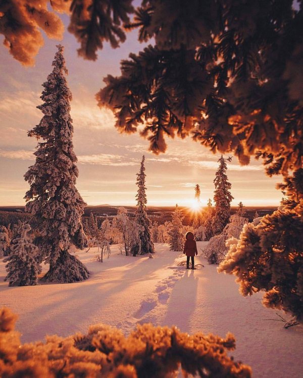 Утро рассвет зима