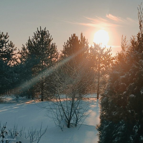 Утро рассвет зима