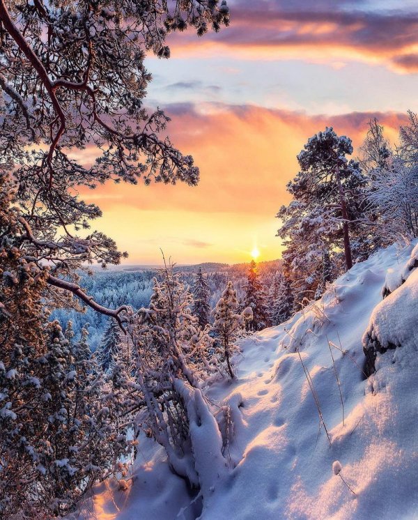 Утро рассвет зима