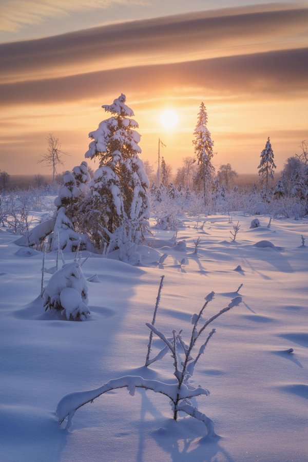 Утро рассвет зима