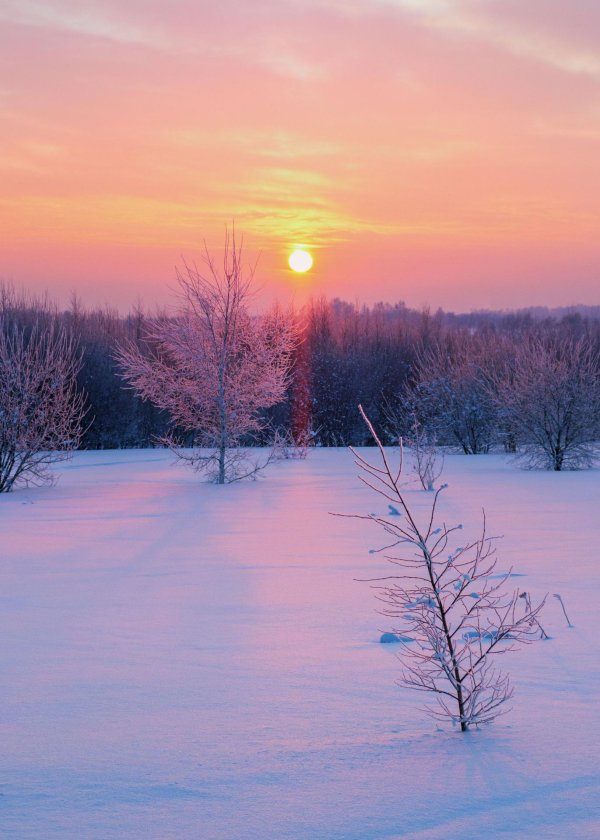 Утро рассвет зима