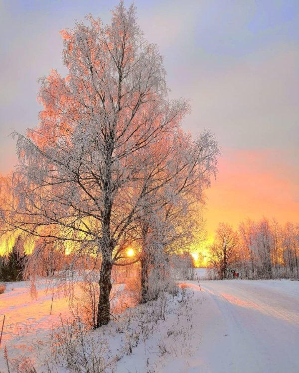 Утро рассвет зима