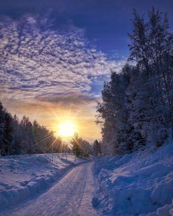 Утро рассвет зима