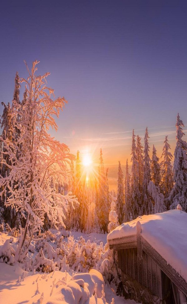 Утро рассвет зима