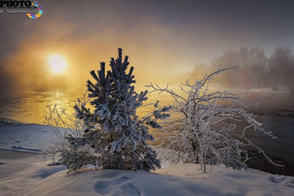 Утро рассвет зима