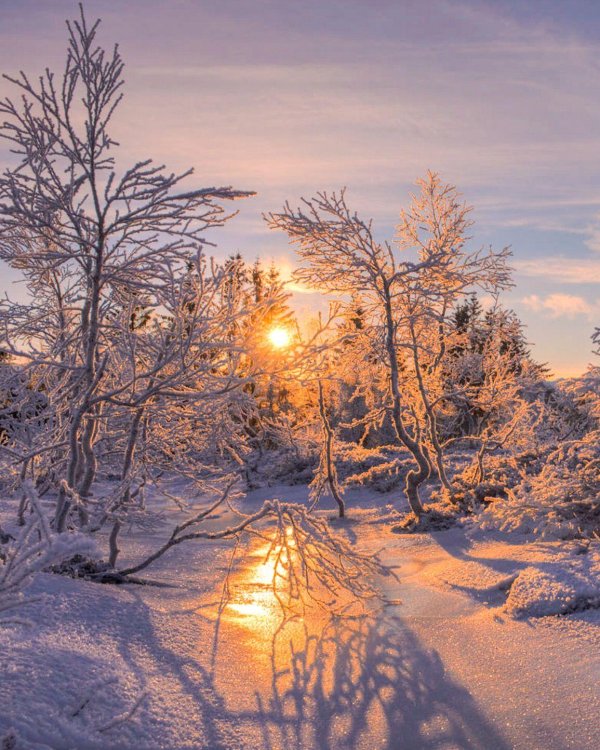 Утро рассвет зима