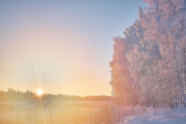 Утро рассвет зима