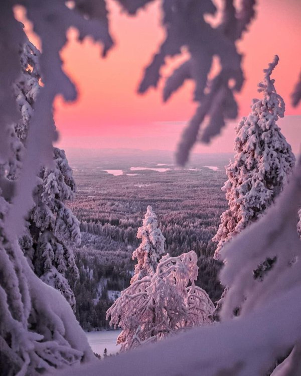 Утро рассвет зима