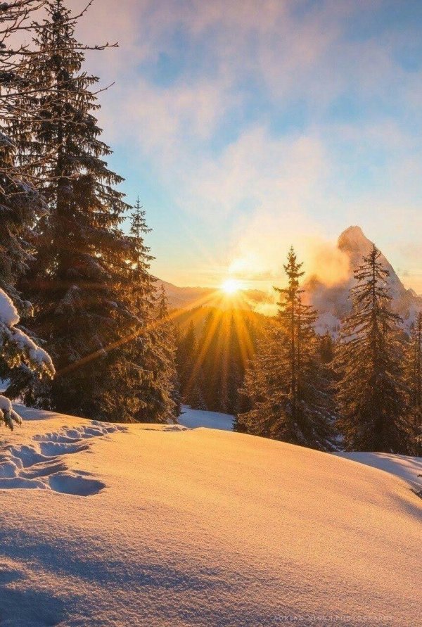 Утро рассвет зима