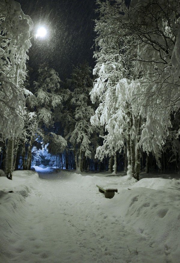 Зима вечер снег