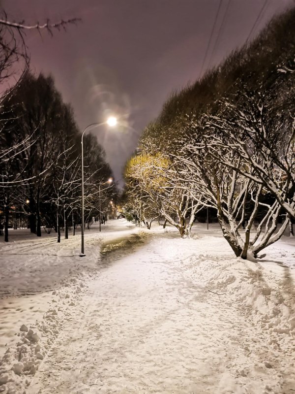 Зима вечер снег