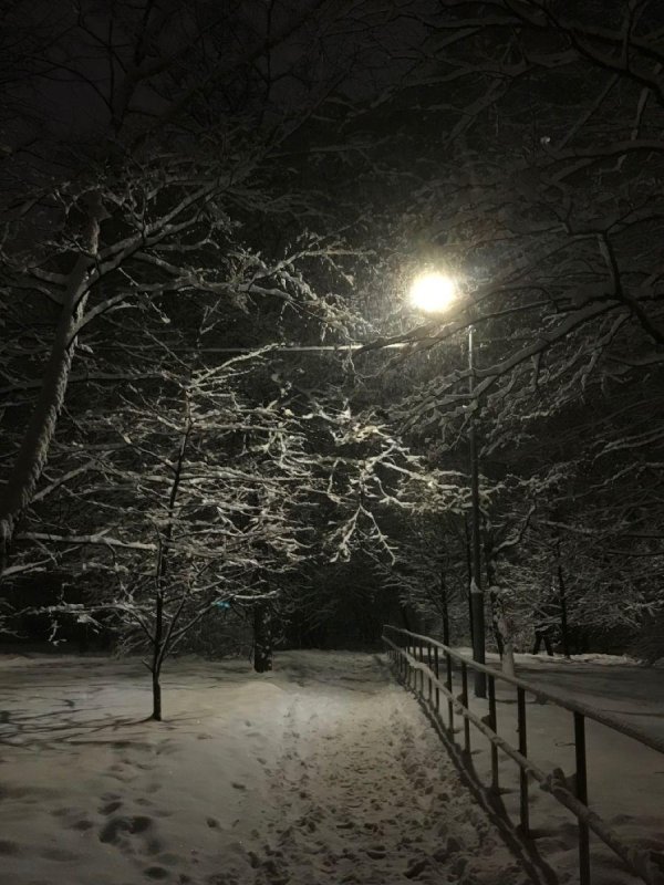 Зима вечер снег