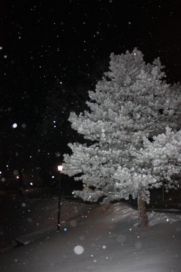 Зима вечер снег