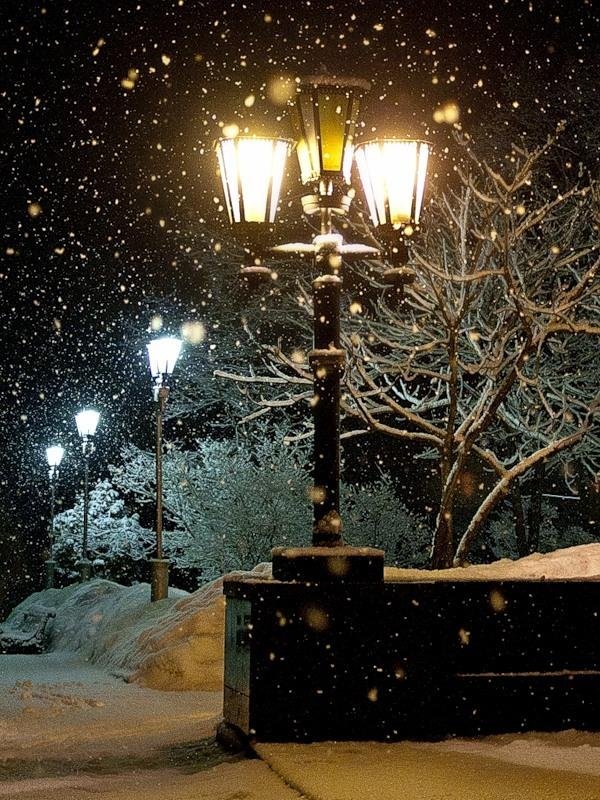 Зима вечер снег