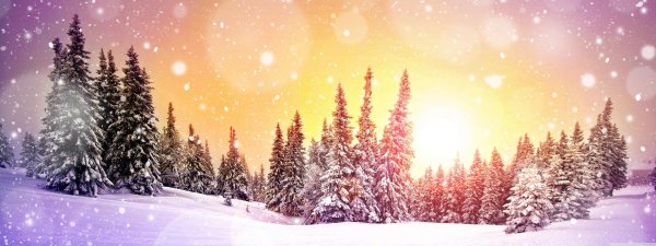 Зима для школы