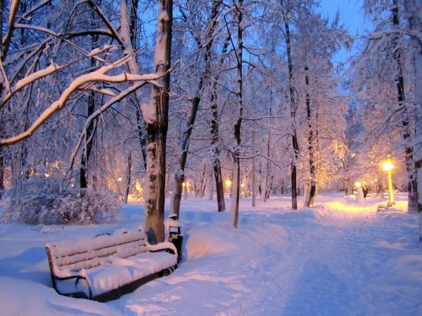 Зима для школы