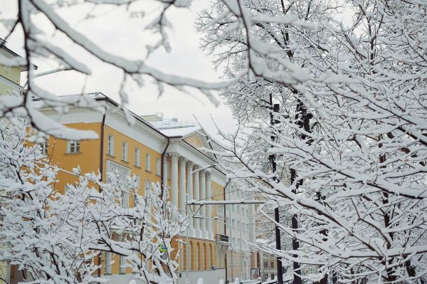 Зима для школы