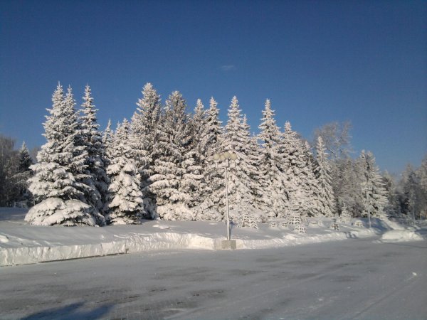 Зима для школы