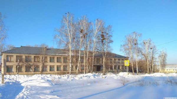 Зима для школы