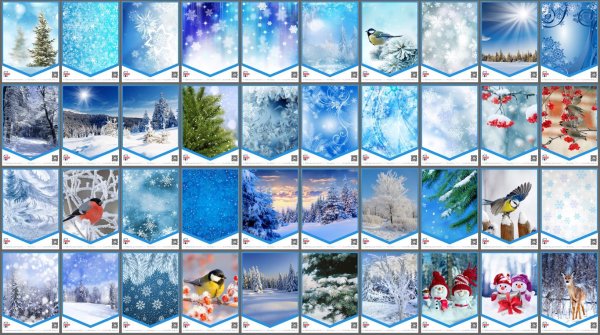 Зима для школы