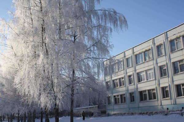 Зима для школы