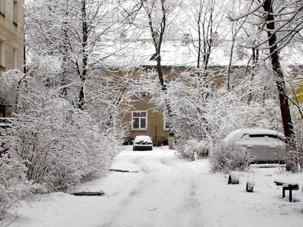 Зима для школы