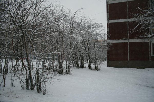 Зима для школы