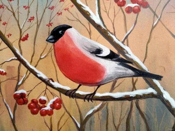 Зима рябина снегири