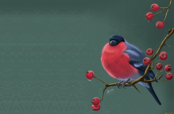 Зима рябина снегири