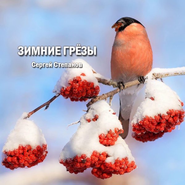 Зима рябина снегири