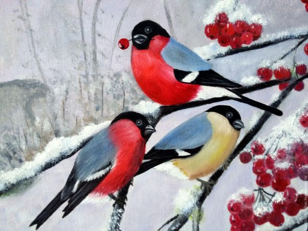 Зима рябина снегири