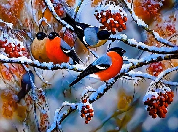 Зима рябина снегири