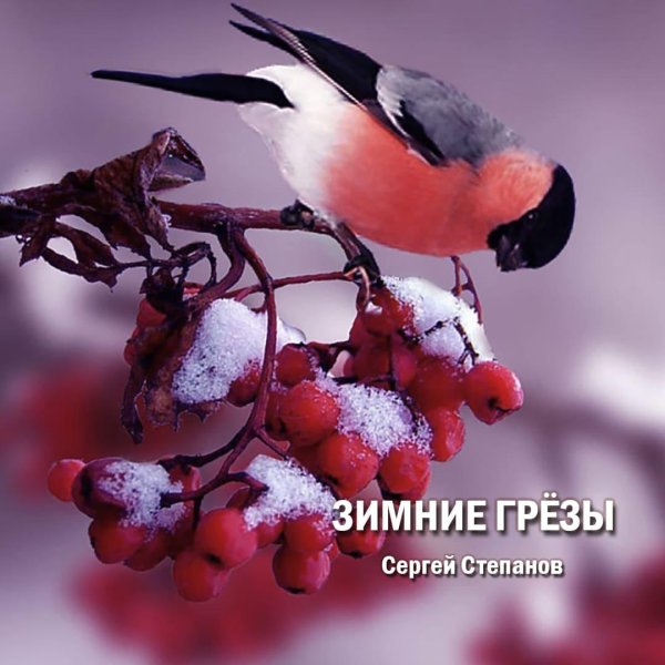 Зима рябина снегири