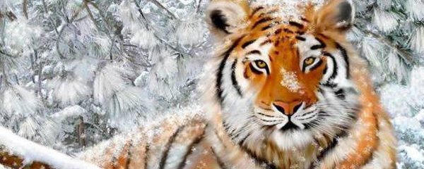 Зима и тигр