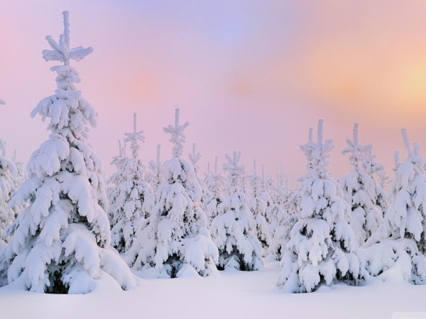 Зима не за горами