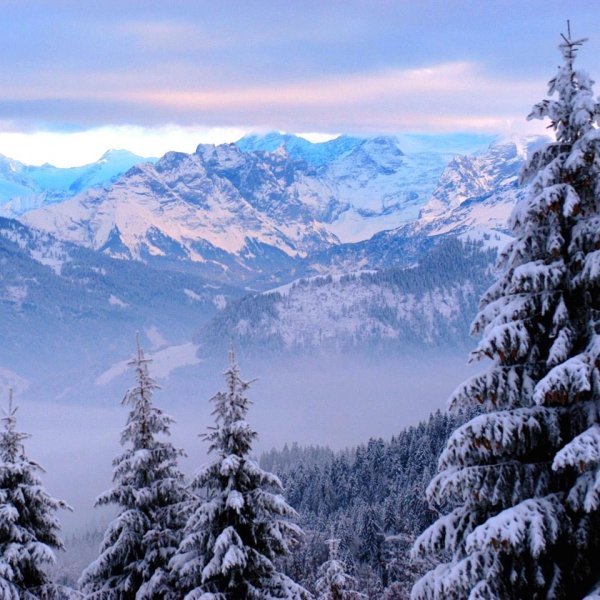 Зима не за горами