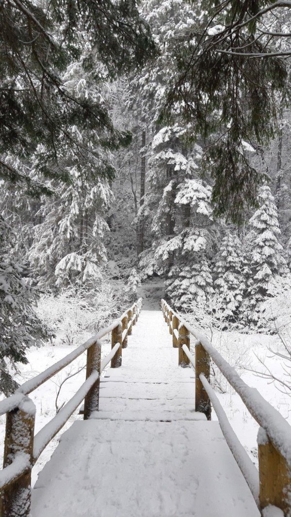 Зима не за горами