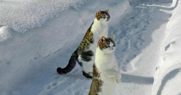 Зима не за горами