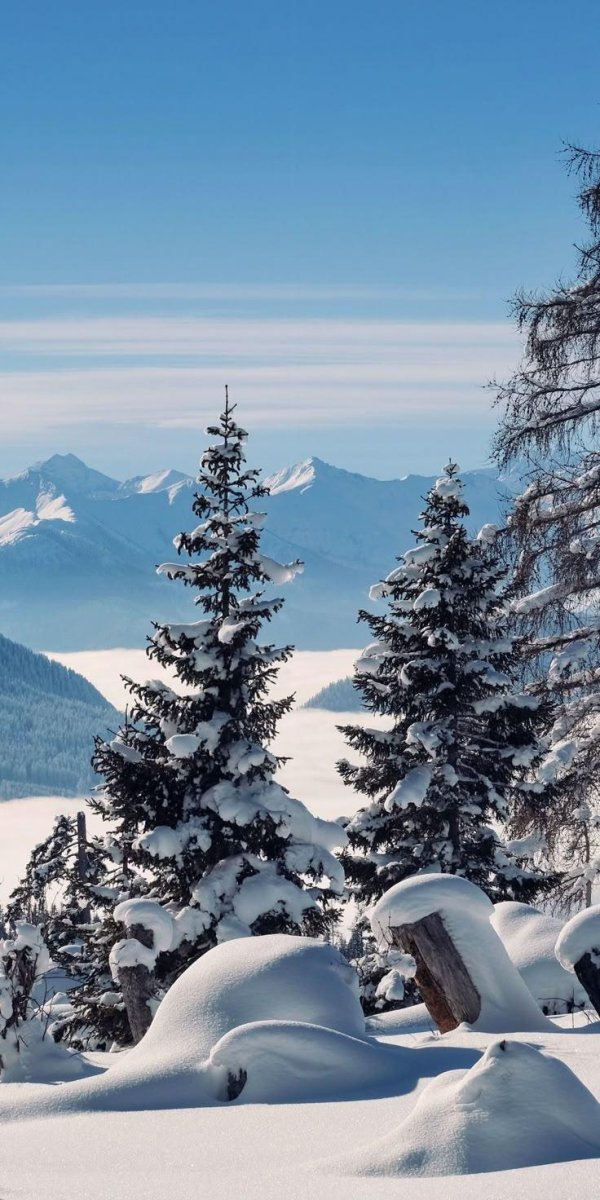 Зима не за горами