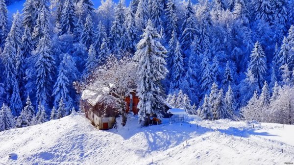 Зима не за горами