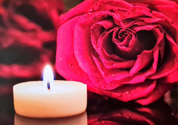 цветы скорби