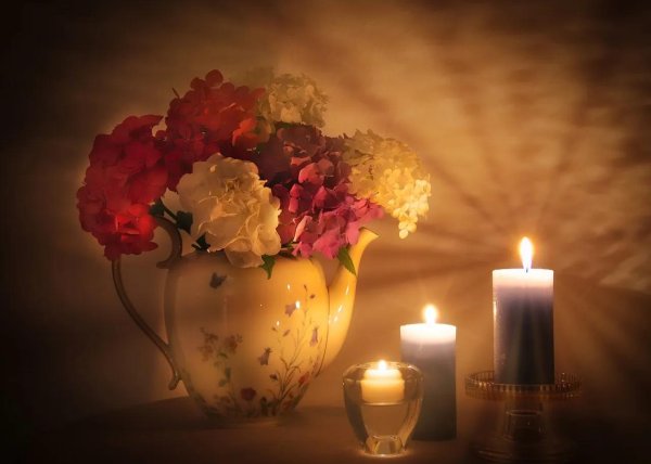 вечерний натюрморт