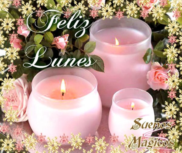 розы и свечи