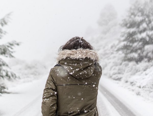 Брюнетки со спины зима