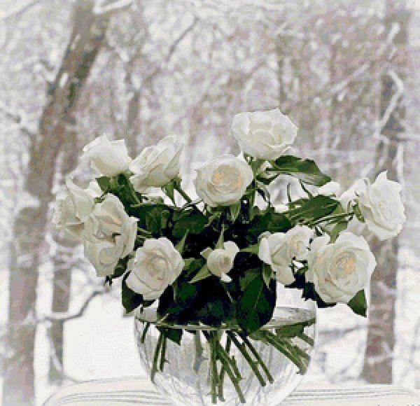 Розы зима с пожеланиями