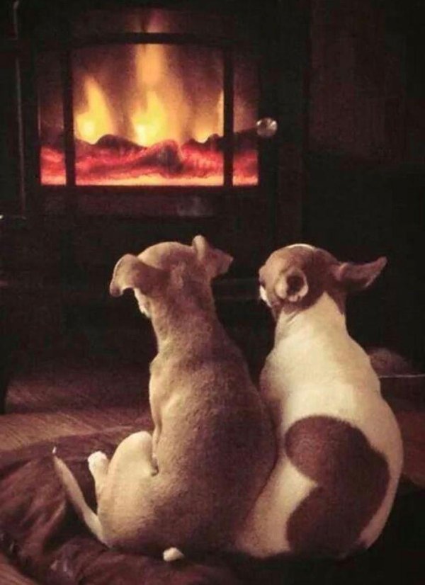 Вечер зима необычные добрый обнимашки